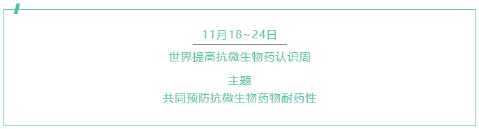 24.png